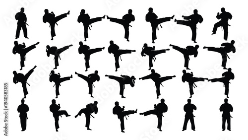 Various silhouettes of people performing different karate moves
