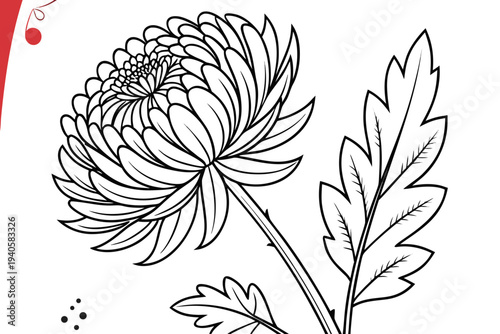 coloring-page line art the chrysanthemum flower black vector