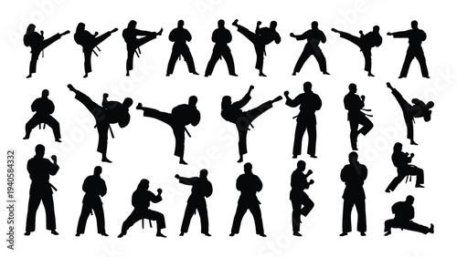 Various silhouettes of people performing martial arts