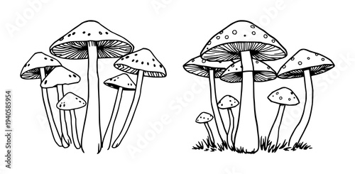Whimsical mushroom group set with black line art on white background featuring mushrooms, fungi, nature with whimsical and playful