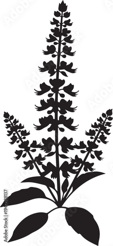 A single silhouette of a basil plant with flower spikes on a white background