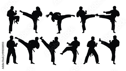 Silhouettes of people performing various karate kicks and punches