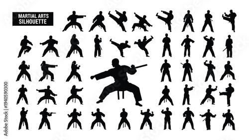 A collection of various martial arts poses and movements in black silhouette