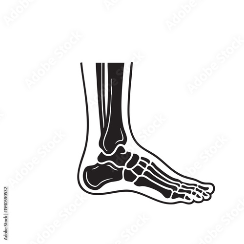 Human Foot Bone Anatomy Vector Illustration Black And White Line Art Medical Educational Concept Symbol