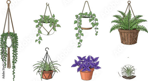 Collection of hand drawn indoor houseplants including hanging and potted plants with a terrarium