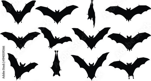 Collection of black bat silhouettes in various flying and hanging poses for halloween decor cad drawing flat vector illustration set