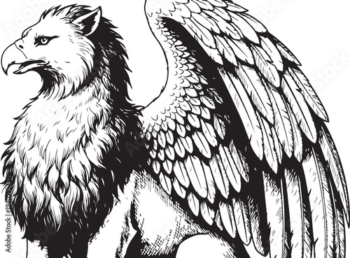 A detailed illustration of a mythical Griffin with wings spread wide