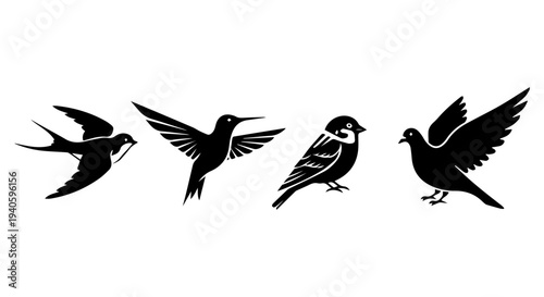 Four stylized black silhouettes of different bird species in flight and perched