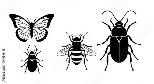 Black and white illustration featuring a butterfly bee and two beetles