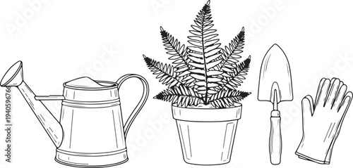 A set of gardening tools and a potted fern plant on a white background