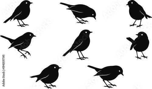 Black bird silhouettes in various poses and flight positions, vector illustration set of small songbirds, isolated on white background, avian wildlife nature icons