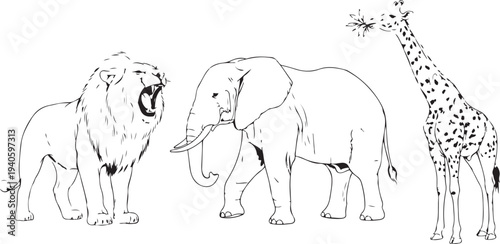 A black and white illustration of a lion, elephant, and giraffe standing together