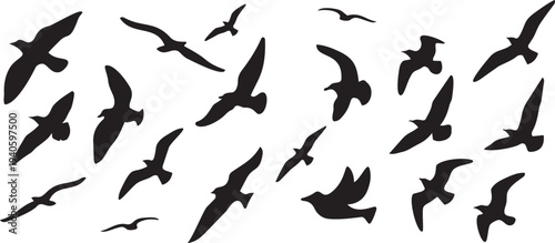 Soaring Silhouettes: A flock of birds, captured in elegant silhouette against the expanse, embody the spirit of freedom.