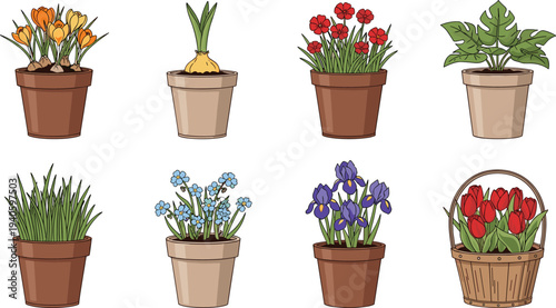 Potted flowers and plants collection decorative houseplants garden pots vector illustration set
