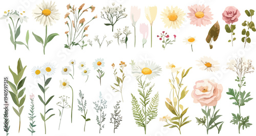 Spring Flowers Bouquet with Grass and Butterflies Illustration