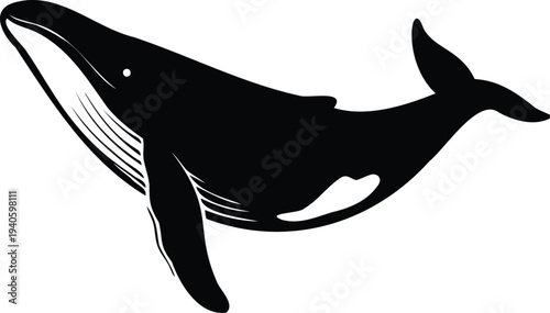Blue whale silhouette vector illustration, whale marine animal icon, ocean wildlife mammal symbol design