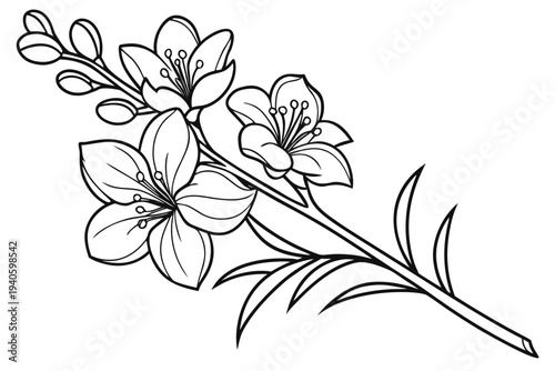coloring page line art the larkspur flower black vector