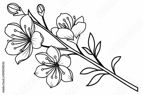 coloring page line art the larkspur flower black vector