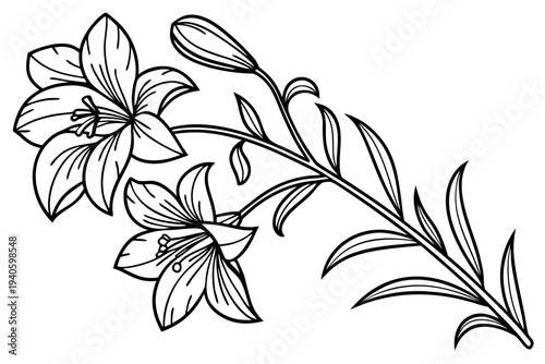 coloring page line art the larkspur flower black vector
