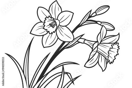 coloring page line art the larkspur flower black vector