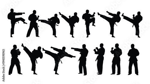 Silhouettes of people performing various martial arts kicks and punches