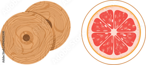 Wood log cross section and grapefruit slice top view natural texture vector illustration