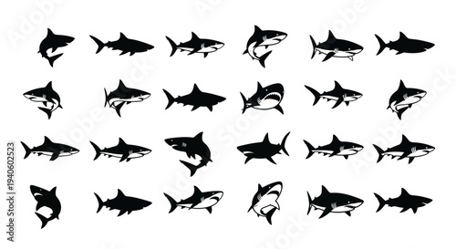 Collection of various shark silhouettes on white background for design and educational use