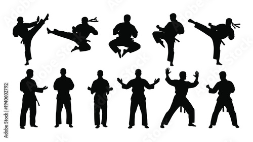 A group of people performing various martial arts poses