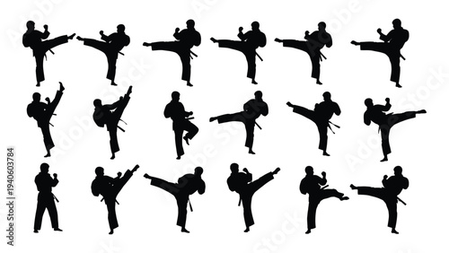 Collection of black silhouettes performing various martial arts kicks