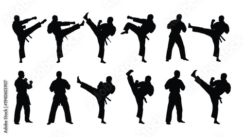 Silhouettes of people performing various karate moves