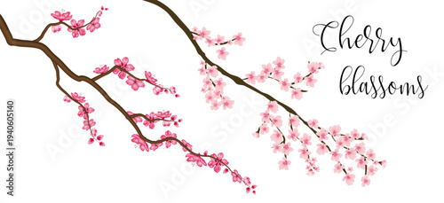 Blooming cherry blossom branches with soft pink petals. A refined spring floral illustration with a gentle romantic atmosphere and decorative elegance.