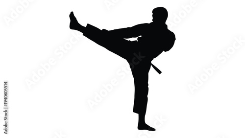A person in a martial arts stance with one leg raised