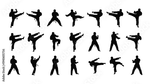 Various martial arts poses and movements are shown