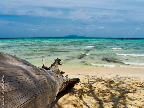 The trunk of a dry dead tree lies on the sand, the seashore, one of the islands of Thailand, a beautiful sea with small waves, a beautiful seascape