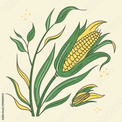 Corn Cob with Leaves Vector Illustration