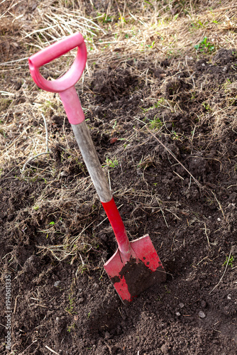 Garden spade stuck in soil ready for digging, spring gardening and backyard preparation