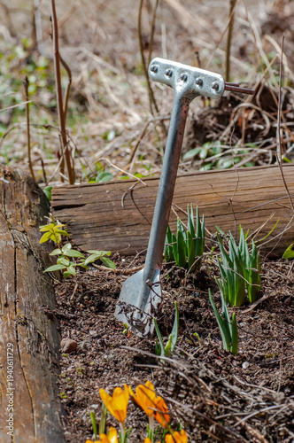 Garden spade stuck in soil with copy space, ready for spring gardening and backyard preparation