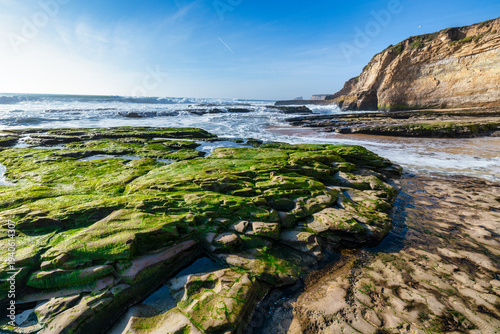Photos Rocky shoreline covered with green algae and shallow tidal pools at low tide, with ocean waves and clear blue sky