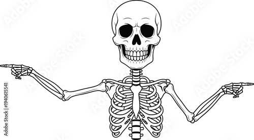 Anatomical human skeleton upper body illustration with skull and rib cage pointing fingers to both sides on white background.