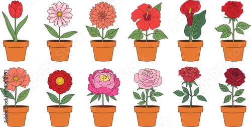 Potted flowers collection tulip daisy chrysanthemum hibiscus calla lily rose peony decorative plants vector set