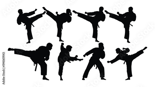 A group of people practicing different karate moves