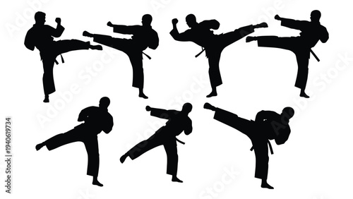 Martial arts silhouettes in various kicking and punching stances