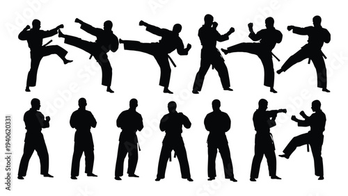 Various martial arts poses and movements depicted