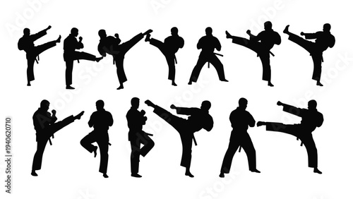 A group of people performing various martial arts kicks