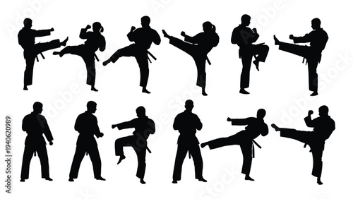 Martial arts silhouettes of people in various kicking and punching stances