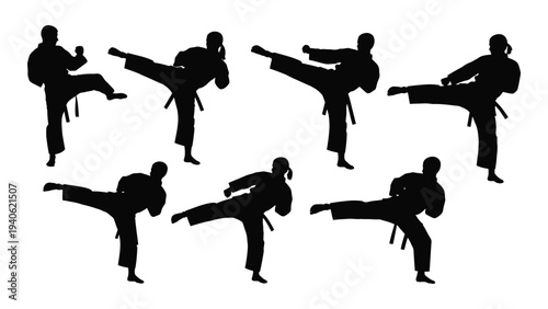 Seven black silhouettes of people performing taekwondo kicks