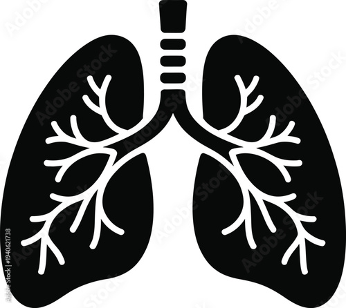 Vector illustration of human lungs with trachea and bronchi