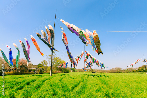 青空に泳ぐ鯉のぼり