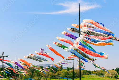 青空に舞う鯉のぼり