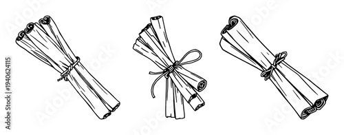 Cinnamon sticks set with black line art bundle tied with twine featuring cinnamon, spice, kitchenware with twine and culinary